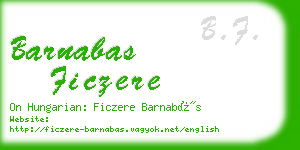 barnabas ficzere business card